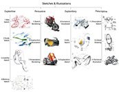 Matrix of design drawing types--Exploratory, Persuasive, Descriptive, and Technical